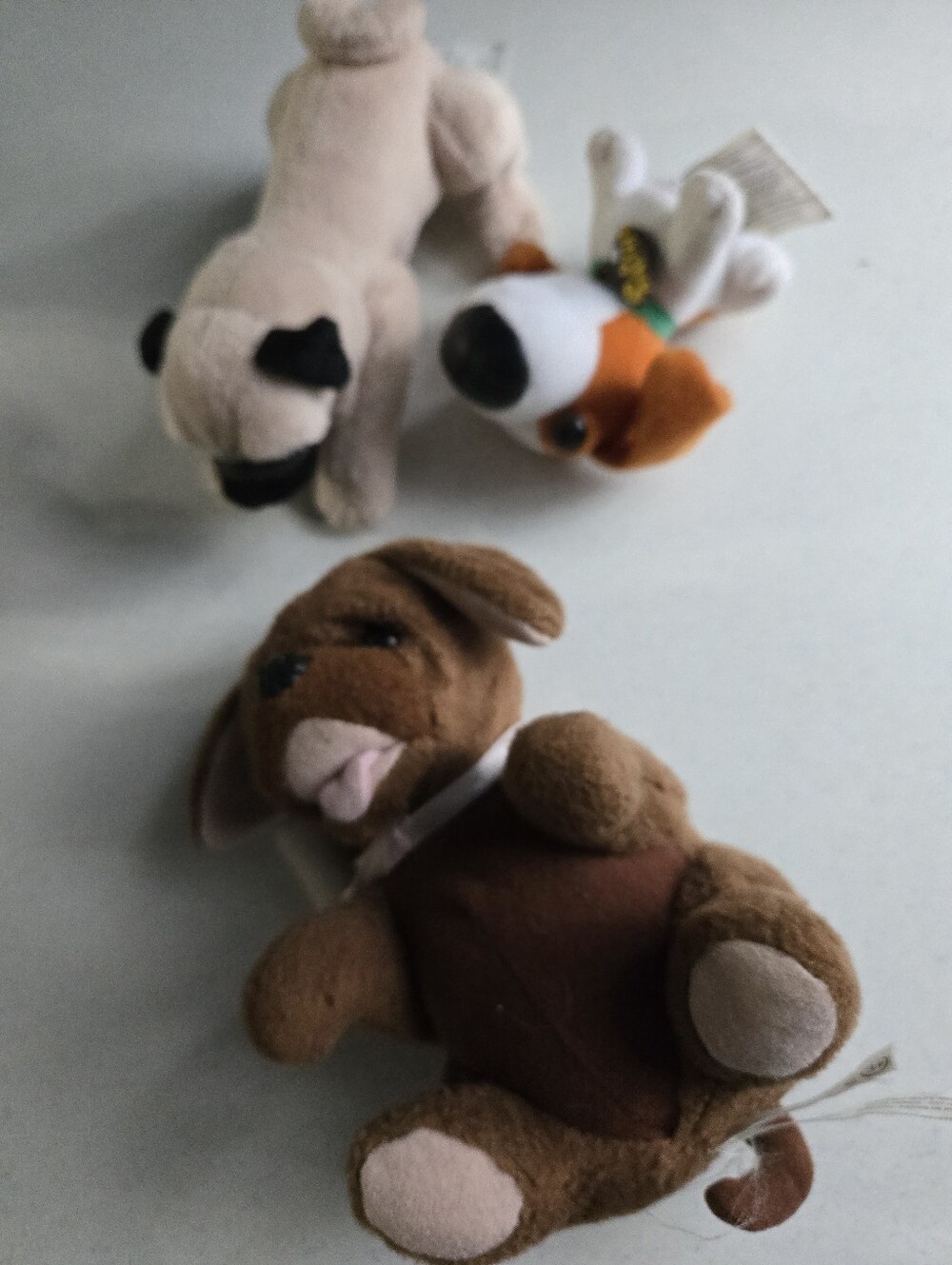 Dog Lot Includes Snubbies